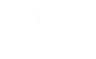 PHP live project training